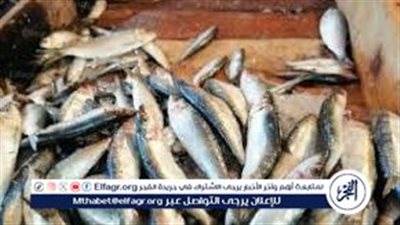 مفاجأة في أسعار السمك اليوم في مصر..تعرف على سعر السمك اليوم في الأسواق