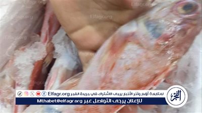 ضبط 2.350 طن تمر مجهول المصدر وإعدام 623 كيلو أغذية غير صالحة بدمياط