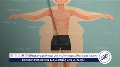 صحة الجسم: الحفاظ على توازن الطاقة والنشاط البدني