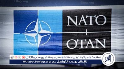 مسؤول سابق في الناتو: لا يوجد انقسامات داخل الحلف بسبب الحرب الروسية الأوكرانية