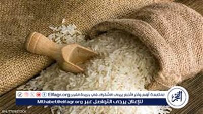  أسعار الأرز في الأسواق والمنافذ المختلفة اليوم