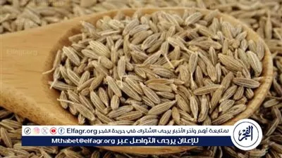 تحولات في أسعار 