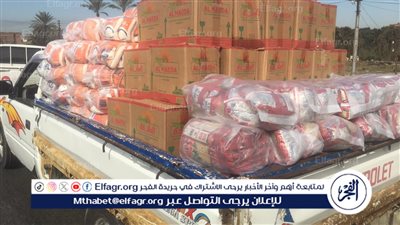 ضبط سيارة نقل محملة بـ 3 أطنان سلع مدعمة قبل بيعها بالسوق السوداء في الإسماعيلية