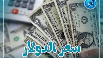 سعر الدولار اليوم السبت 2 مارس 2024 في مصر