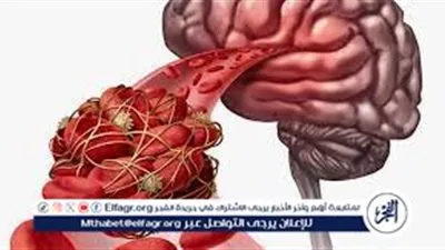 فوائد الصيام للمعدة المضطربة: تحسين الصحة واستعادة التوازن