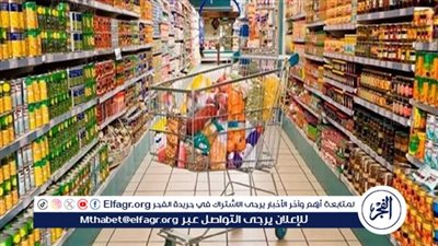 عاجل من متحدث الوزراء بشأن آليات رقابة الحكومة على قرار وضع الحد الأقصى لسعر بيع السلع 