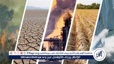 تأثير التغيرات المناخية على دول العالم.. خبير يوضح (فيديو)