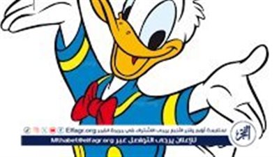 استمتع بتردد قناة بطوط بجودة مرتفعة لعام 2024.. اجعل أطفالك يستمتعون ويسترخون أمام التلفزيون