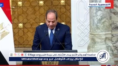 السيسي: مصر تدعم المبادرات الرامية لتحقيق السلام والاستقرار بجنوب القوقاز (فيديو)