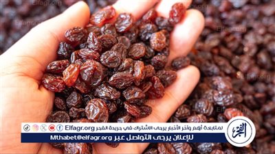 فوائد تناول الزبيب في شهر رمضان