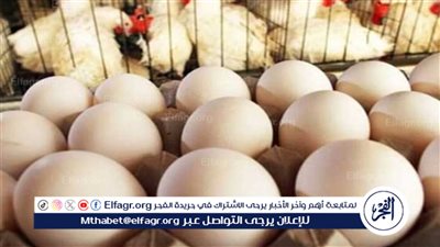 تراجعت اليوم.. سعر كرتونة البيض اليوم الثلاثاء 5 مارس في الأسواق والبورصة