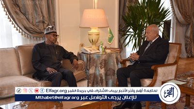 أبو الغيط يلتقي بلجنة الاتحاد الأفريقي رفيعة المستوى حول السودان