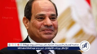 خبير علاقات دولية يكشف دلالة لقاء السيسي مع رئيس وزراء هولندا