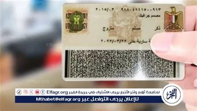 الرقم القومي.. كيفية الحفاظ عليه وأهميته في حماية خصوصيتك