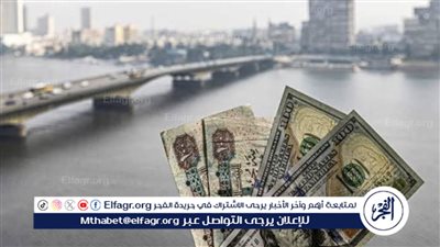 حل أزمة الدولار.. نائب يوضح أهمية تحرير سعر الصرف (فيديو)