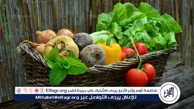 تعرف على أهمية الفيتامينات للجسم 