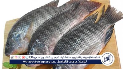 أسعار الأسماك مساء اليوم السبت 9-3-2024 في محافظة الدقهلية