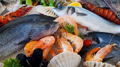 أسعار السمك والجمبري اليوم الجمعة 19-4-2024 بأسواق العبور