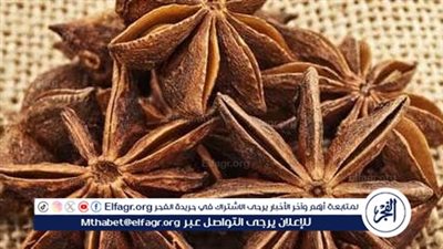 اليانسون: النعمة الطبيعية لصحة المرأة 