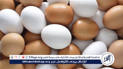سعر البيض في مصر اليوم وتوزيعه حسب الشركات
