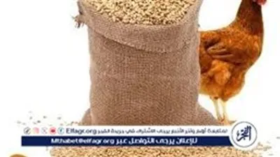 لا تفوت الفرصة.. تراجع أسعار العلف اليوم الجمعة 8 مارس - اشتري الآن واحفظ لموسم الربيع