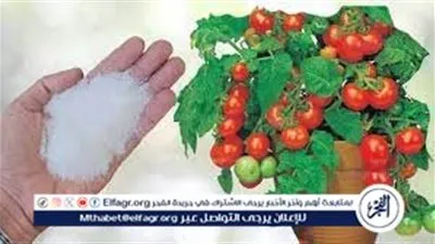 تعرف على استخدامات ملح الليمون في الزراعة