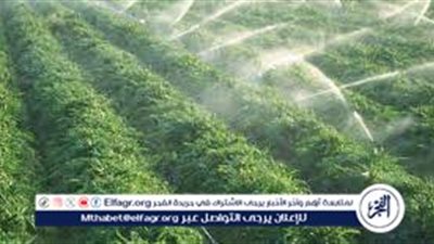 اعرف.. ما أنواع الري؟