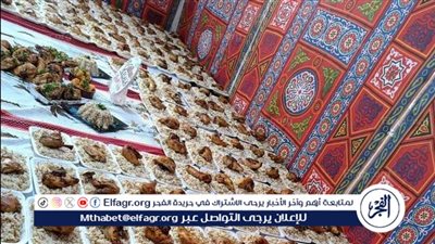 توزيع مساعدات عينية ومواد غذائية ووجبات جاهزة بالجمعيات والمؤسسات الأهلية بالدقهلية