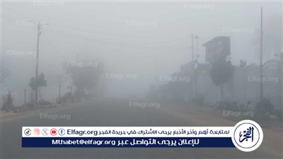 ضباب وشبورة مائية على الطرق السريعة والزراعية في الدقهلية (صور)