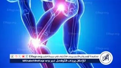 مفاصل الجسم. لكل نوع وظيفة