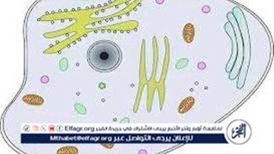 أنواع خلايا الكائنات الحية