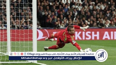 يتبقى مكالمة فقط.. موقف لونين من البقاء مع ريال مدريد