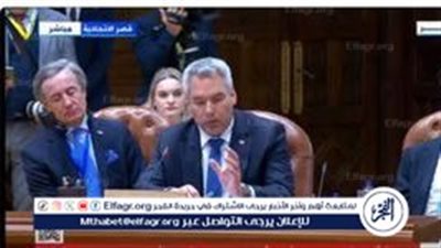 مستشار النمسا: أولوياتنا الحالية إطلاق سراح المحتجزين بغزة (فيديو)