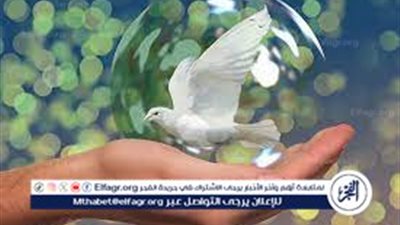 حول السلام المجتمعي وطرائق الوصول إلى الاستقرار 