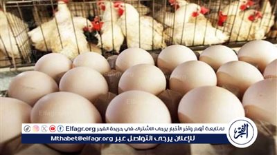  أسعار الدواجن والبيض اليوم الجمعة 22-3-2024 في الدقهلية