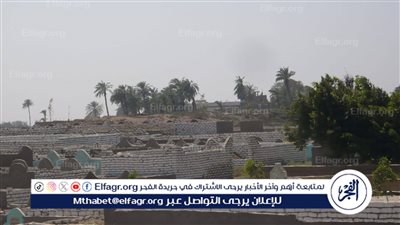 بالمستندات.. بناء 385 بيتا على أراضي أثرية في بني سويف بالمخالفة للقانون 