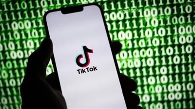 بالسب والقذف.. تفاصيل خناقة بلوجرات بسبب فيديو تيك توك في حدائق الأهرام