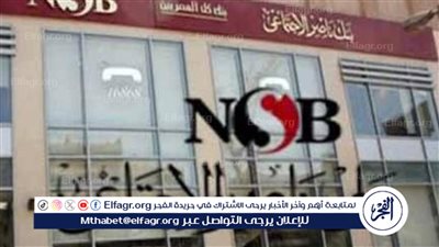 قرض ذوي الاحتياجات الخاصة 2024 من بنك ناصر.. ما يجب أن تعرفه قبل التقديم