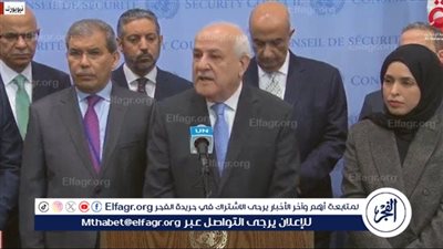 عاجل من مندوب فلسطين بالأمم المتحدة عقب فشل مشروع قرار وقف إطلاق النار بغزة 