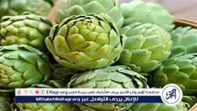  استكشاف فوائد الخرشوف: الخضار الصحي واللذيذ 