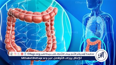 تعرف على الأكلات الصحية لصحة القولون 