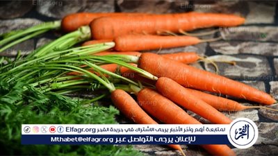 فوائد الجزر: الخضار الصحي الذي يجب تضمينه في نظام غذائي الأطفال 