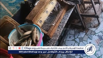 تعرف علي النتائج..مراقبة الأغذية تكثف حملاتها بالمرور على 169 منشأة في الدقهلية