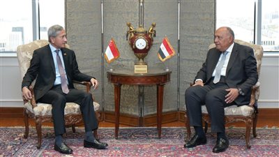 عاجل| وزير الخارجية يجدد تحذير مصر من استمرار تأزم الأوضاع الإنسانية الكارثية بغزة