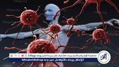 استراتيجية الوقاية من الأمراض المناعية: نحو حياة صحية ومنعمة