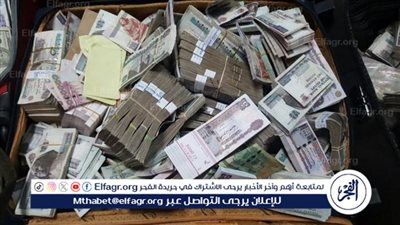 بإجمالي 500 مليون جنيه.. منصة شهيرة تنصب على 80 ألف مواطن