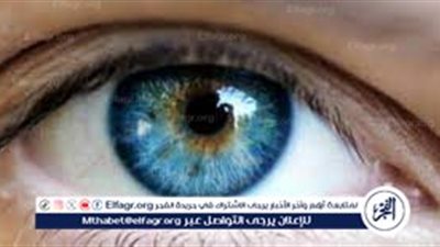 الحفاظ على النظر والرؤية: أهمية العناية بصحة العيون