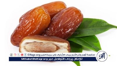 أفكار ووصفات مذهلة من نواة التمر