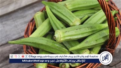 شعبة الخضراوات تكشف حقيقة وصول سعر كيلو البامية لـ 200 جنيه للمستهلك 