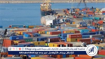 المالية: تم الإفراج عن بضائع بقيمة 17 مليار دولار خلال 3 أشهر (فيديو)